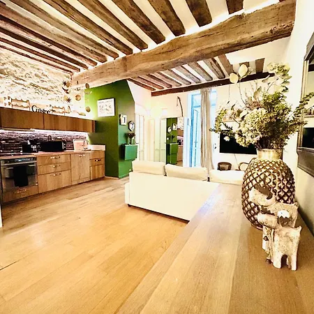 Splendid Atypical Loft St Germain Parigi