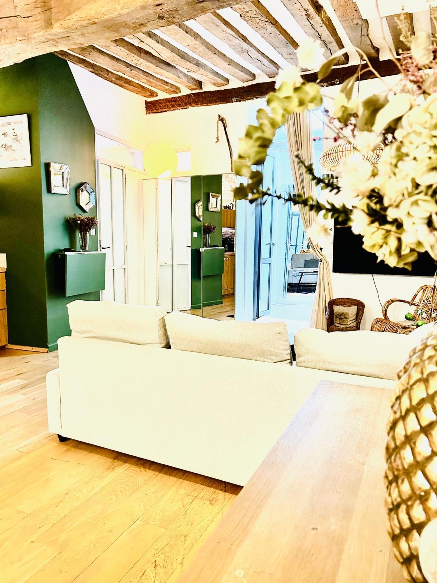 Splendid Atypical Loft St Germain