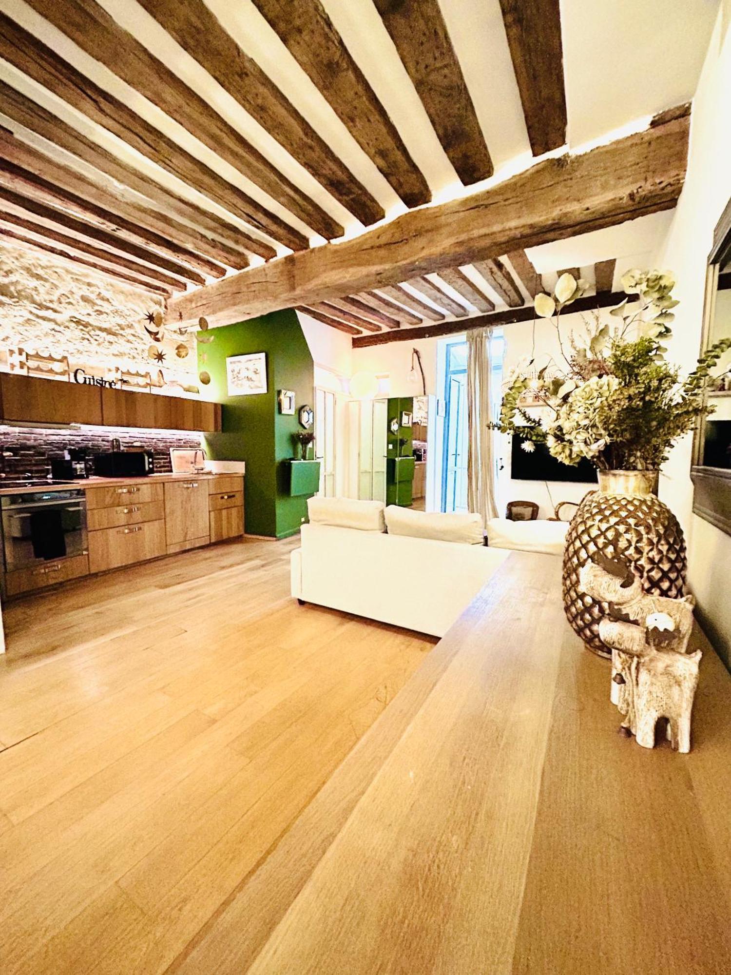 Splendid Atypical Loft St Germain Parigi